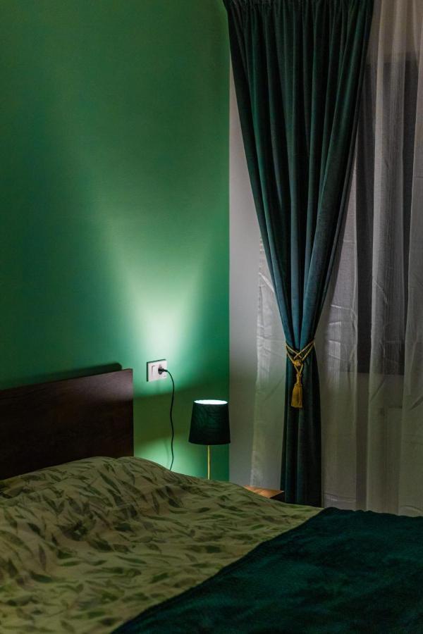 Brigitte Apartment Brasov Exterior photo